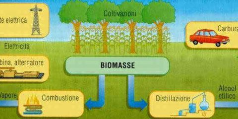 Che cosa sono le biomasse
