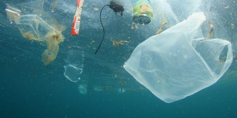Plastica, il più grande pericolo per la salute degli oceani