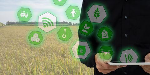 L’innovazione per la sostenibilità agroalimentare