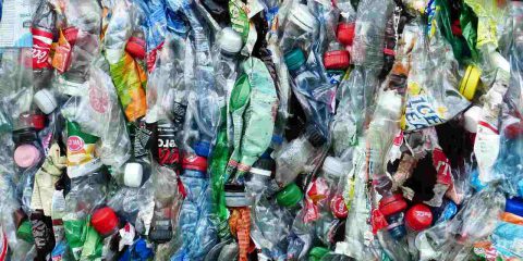 Plastica biodegradabile, mercato globale a 6 miliardi di dollari nel 2023. In Italia giro d’affari da 700 milioni
