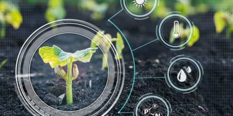 AI e supercomputing per digitalizzare la filiera agroalimentare italiana, l’infrastruttura Metrofood-It dell’Enea