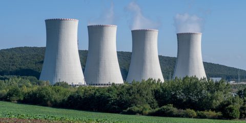 Meta, il centro dati AI alimentato a energia nucleare ostacolato da rare specie di api